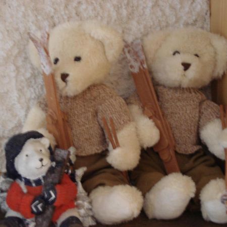 Petit Ours Apartment Villars-sur-Ollon Ngoại thất bức ảnh